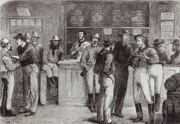 "Yleinen huuto", pensastavernassa, 1878